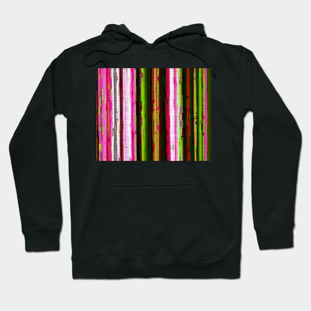 Candy Stripes Hoodie by DANAROPER